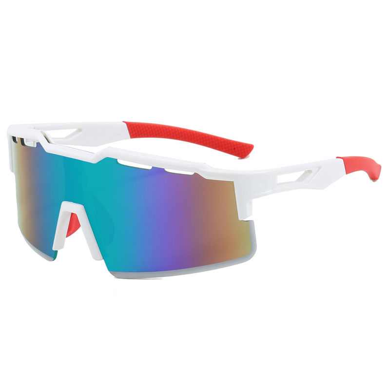 Biking Protective Sunglasses,  - Cycling Gear Essentials review and price